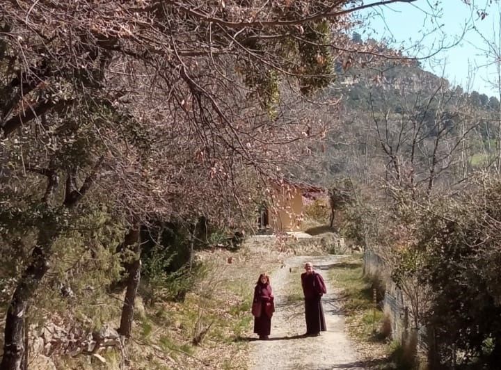 Odoo - Sample 3 for three columns